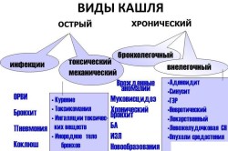 Виды кашля
