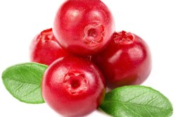 Польза клюквы для лечения горла